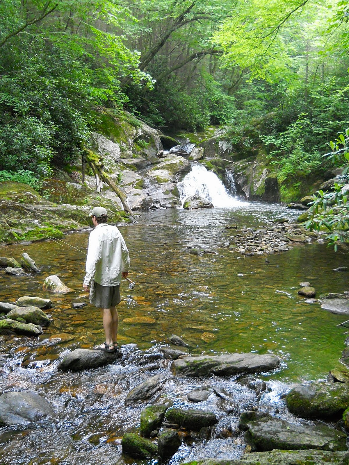 Great Summer Fly Fishing In Asheville, North Carolina Brown Trout Fly